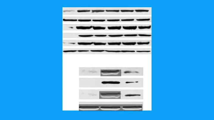 5486BC6746385F7B49129408B6D375#2