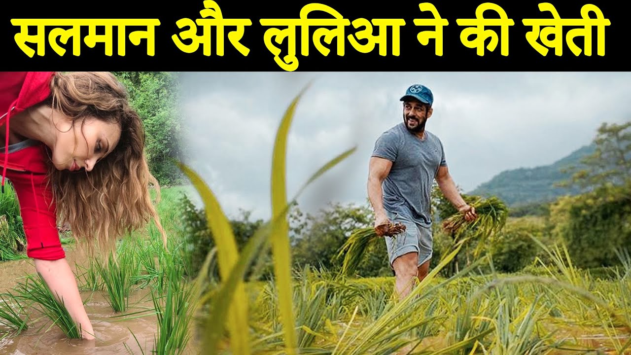 Salman Khan And Lulia Vantur Is Doing Farming In His Panvel Farmhouse 