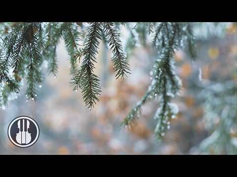 Video: Chanels Höstskog