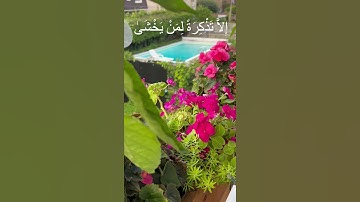 #قرآن #تلاوة_خاشعة #tilawat #تلاوة_هادئة #راحة_نفسية