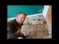 The DIY Guy hits a pipe 😂 - Live