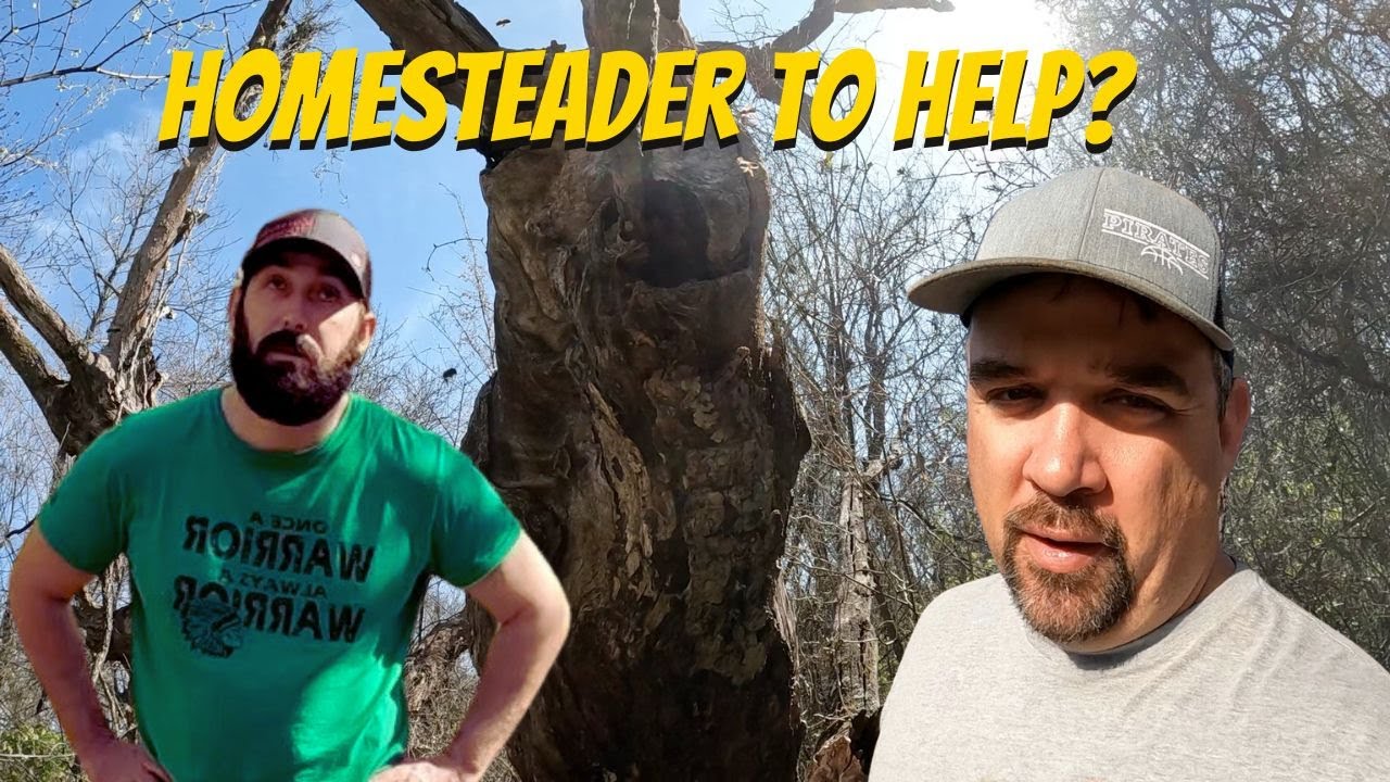 We got ourselves in a sticky situation! - YouTube
