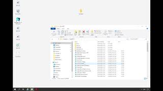 MBS FileMaker Plugin Examples Windows