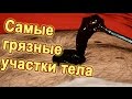 10 самых грязных участков вашего тела. Где живут микробы и бактерии