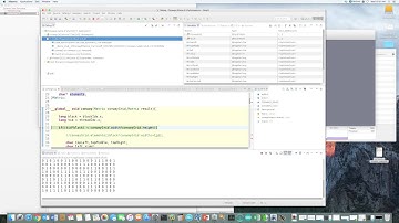Using the NSight Debugger