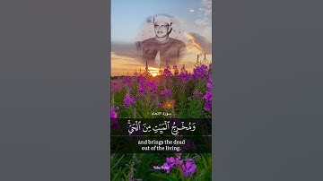 الشيخ محمد صديق المنشاوي سورة الأنعام