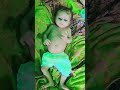 #blessings #cutebaby #smartkids #futureias #babyshorts #love #kavyavlogs #babygirl #babylove