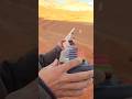 Epic Hunting Rifle Shot – A Moment You Can't Miss!