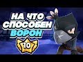 BRAWL STARS ВОРОН НА ЧТО ОН СПОСОБЕН СТОЛКНОВЕНИЕ! Crow Кроу Ворон 10 уровень силы Бравл Старс