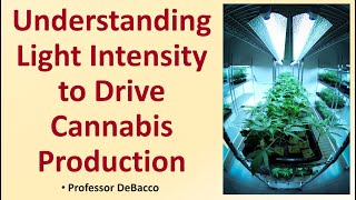 Understanding Light Intensity to Drive Cannabis Production