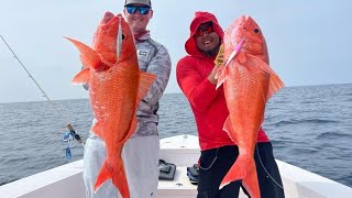 Slow Pitch Jigging in the Maldives with Temple Reef