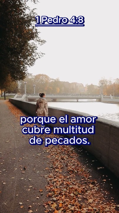 shorts-1-pedro-4-8-youtube