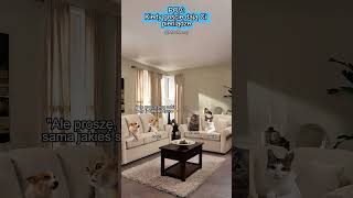 KOCIE MEMY 😼 POV: Kiedy goście dają Ci pieniądze #catmemes #koty #memy #relacje #relatable