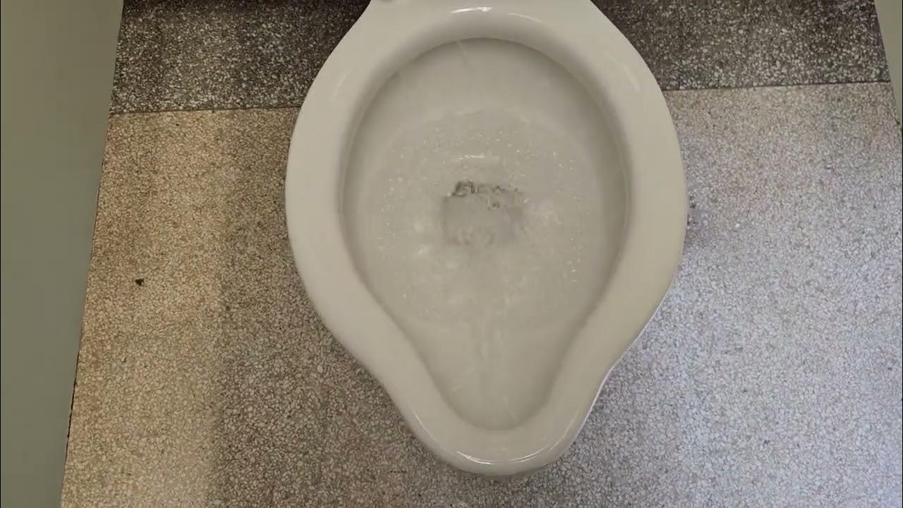 491. Standard Siacto and Pedestal urinals YouTube