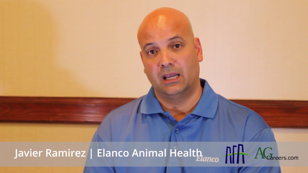 Navigating the Job Search Process | Chapter 2 Networking - YouTube