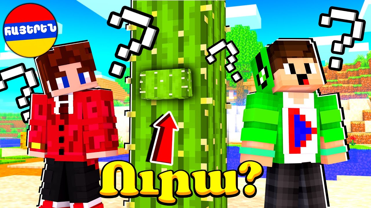 Գտիր Թաքնված կնոպկան ու ստացիր Գլխավոր Բարսիկի կոչում! Minecraft Hayeren