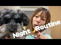 【Night Routine】暇じゃない人は見ないでください😀☝🏻