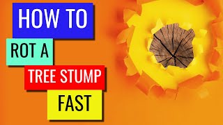 How To Rot A Tree Stump Fast?