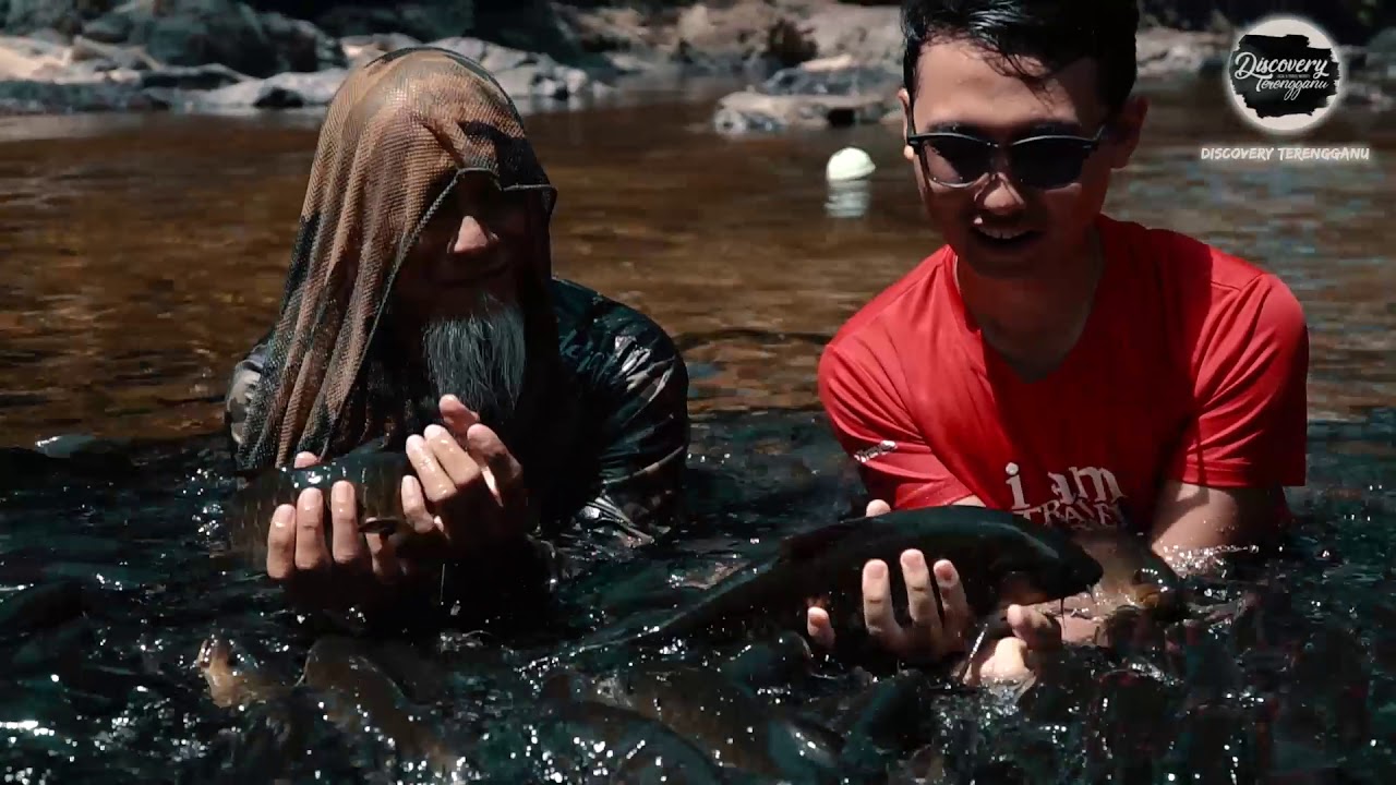 Santuari Kelah - Tasik Kenyir