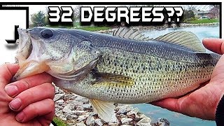 Catching LARGEMOUTH BASS in 32 DEGREE Weather!  Fishing a Local Pond in Northwest Indiana screenshot 5