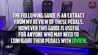 DIView SETUP GUIDE for SIM RACING PEDALS (SIM JACK / SIMSONN, and other budget Chinese pedals) screenshot 4