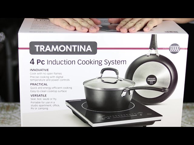 We Tested the Best Portable Induction Cooktops of 2024