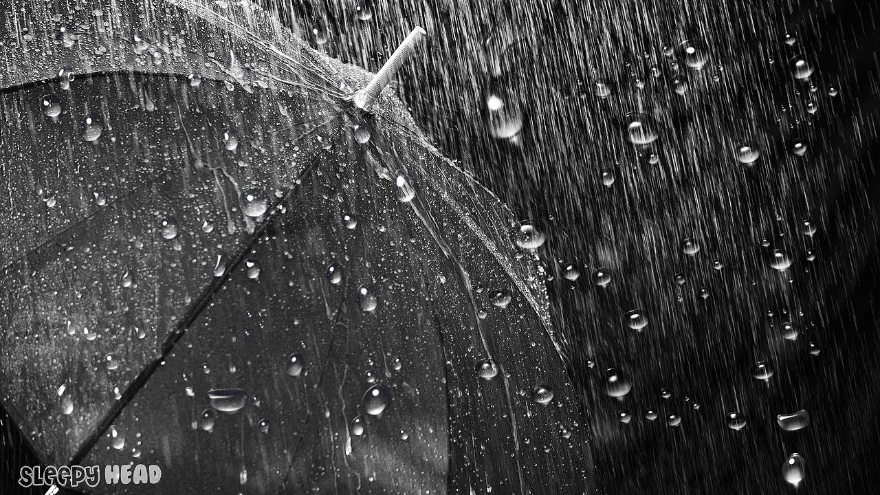 Watch ☔Gentle Rain on Umbrella 💦 Soft Rain Sounds for Sleep and Relaxation, Study, Focus, Meditation on YouTube Watch ☔Gentle Rain on Umbrella 💦 Soft Rain Sounds for Sleep and Relaxation, Study, Focus, Meditation on YouTube
