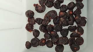 MK Model | Prune Sorting Test