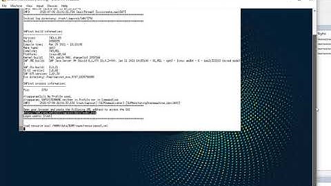 Video 20 - How to install SAP S4 HANA 1709 - Part_1