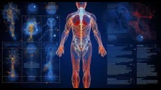 20 Jaw-Dropping Facts About Human Body You Never Knew #didyouknow