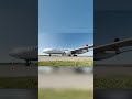 Под крылом красавца Airbus A330 Turkish Airlines