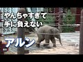 止まらないアルンに 飼育員さんもタジタジ…＾＾；（2021/8/16前編）