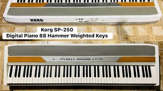Korg Sp-250 Digital Piano 88 Hammer Weighted Keys Wilsons Music Instruments Whatsapp No 03371476660