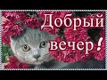 Добрый вечер!  Желаю хорошо провести вечер! Красивое музыкальное пожелание с добрым вечером.