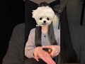 彼氏が他の女の子に狙われたら、みんなならどーする？😭 #彼氏 #浮気 #可愛くなりたい #垢抜けたい #pr