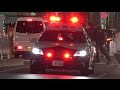 5連発!!緊急走行!!警視庁パトカー サイレン高らかに都心を走る!!クラウン!エスティマ!レガシィ!Police Cars Emergency Vehicle Japan