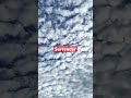 Surrender#music #newmusic #deephouse #love #electronicmusic