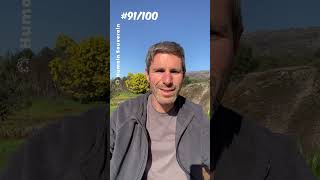 Le dilemme