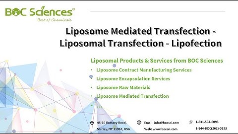 Lipofection - Liposome Mediated Transfection - Liposomal Transfection - BOC Sciences