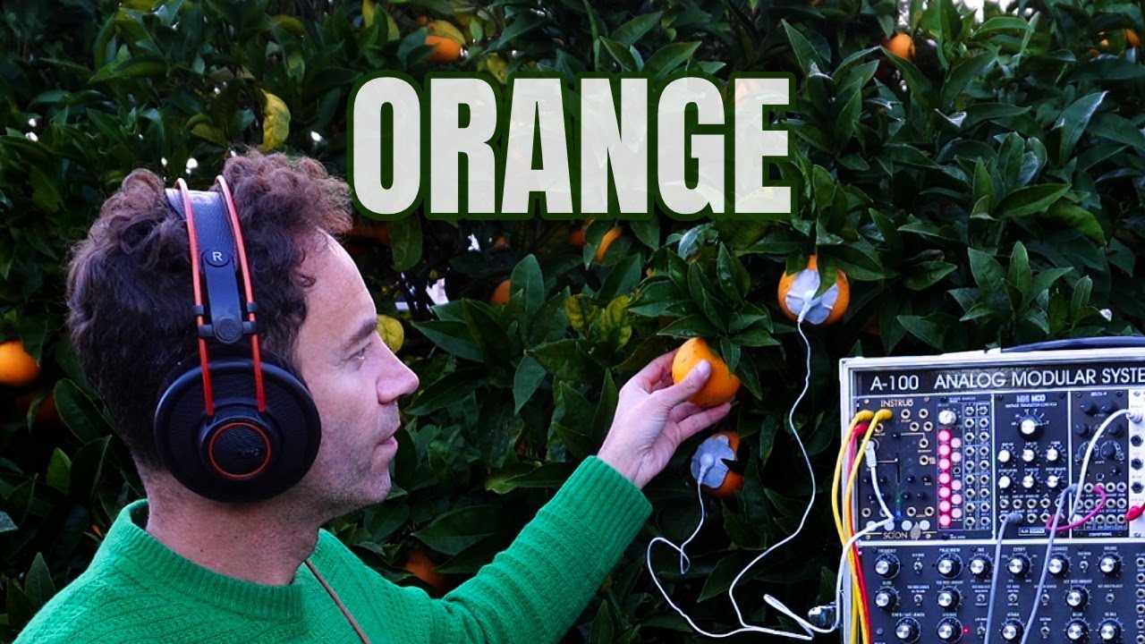 Orange | Sound Meditation with a Living Plant - YouTube