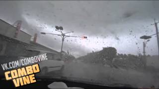 Combo Vine #548
