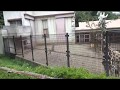 カリン ♀2か月齢 -盛岡市動物公園- の動画、YouTube動画。