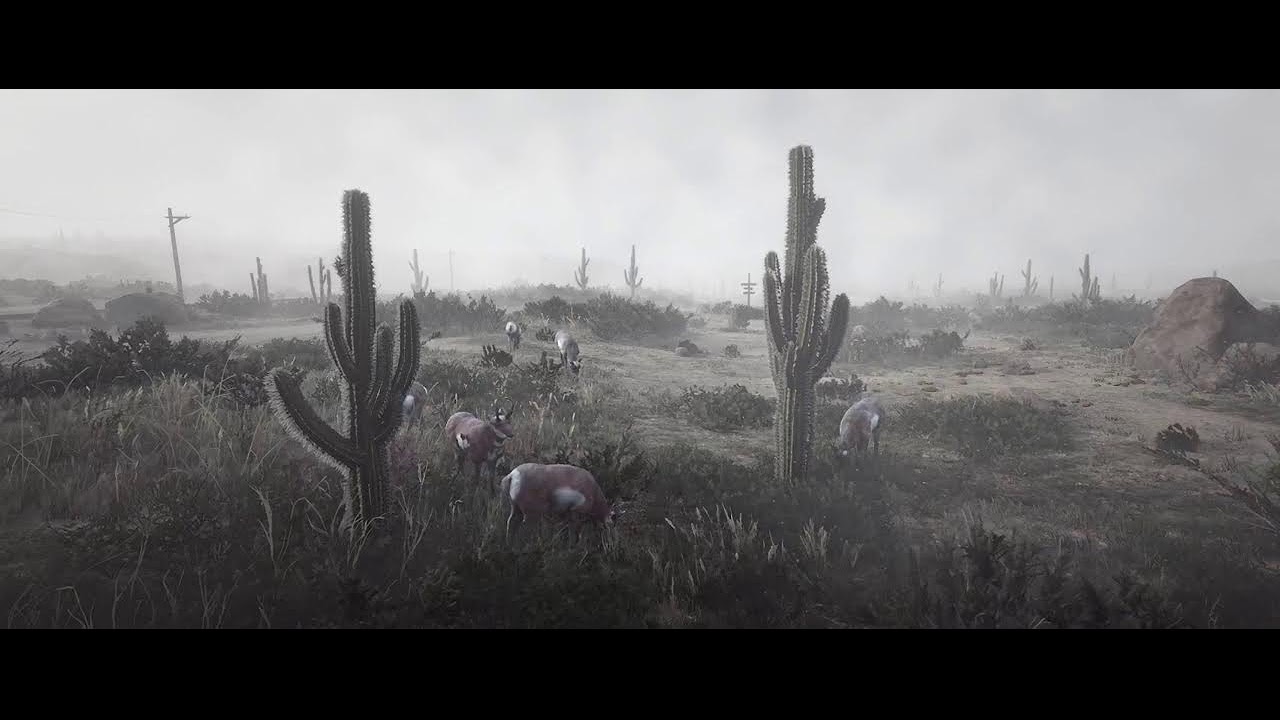 [LIVE] - RDR2 Cinematic Camera - YouTube