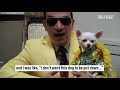 Anthony Rubio's The Daily Beast Interview - Dogs In Haute Couture