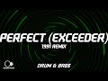 Mason vs Princess Superstar - Perfect (Exceeder) (1991 Remix)