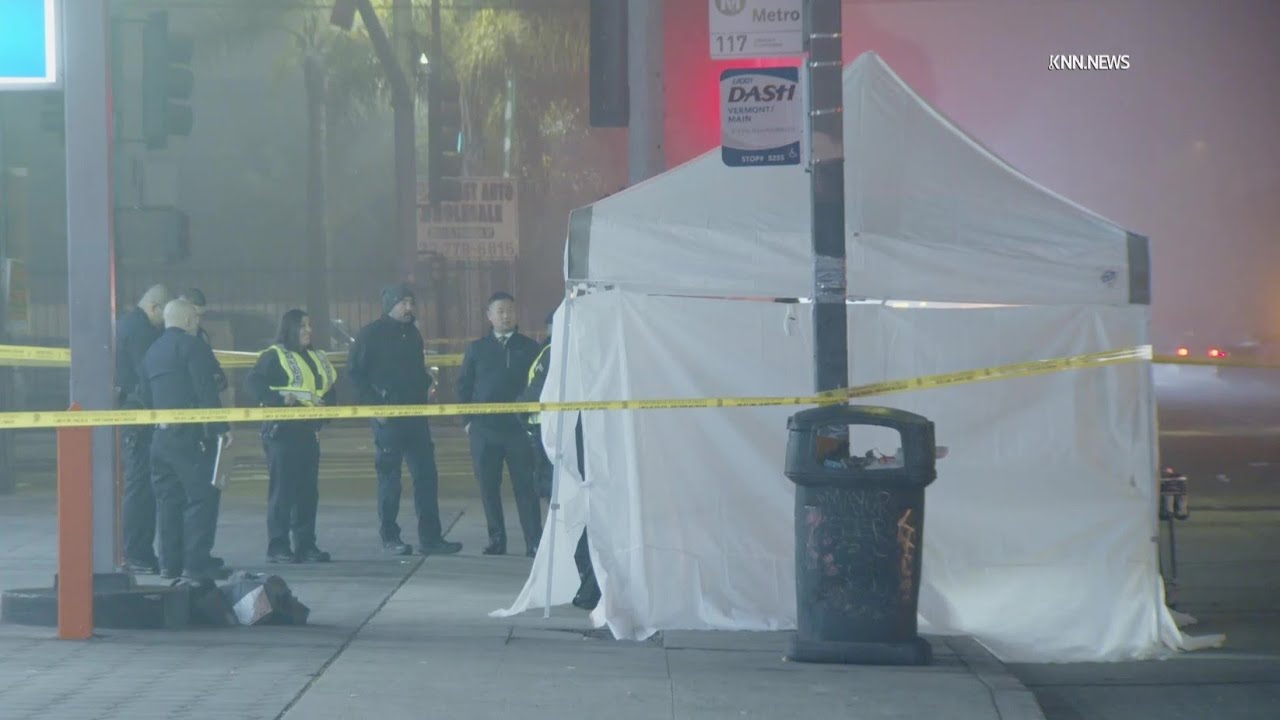 Pedestrian Struck, Killed in South Los Angeles Hit-and-Run Collision ...