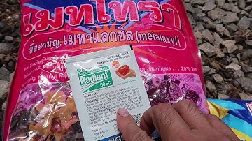 THuốc phòng trừ bệnh thối nhũn  cho cây lan . xách tay từ thái lan