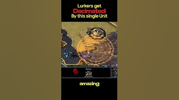 I Shocked Serral With This Crazy Move