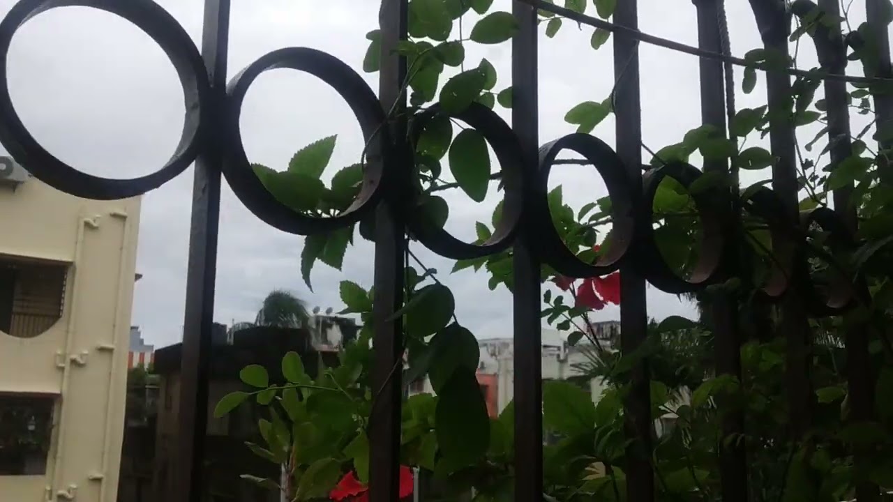 আজ মন কেমোনের জন্মদিন 🥺                  most beautiful rainy day lCity Life l