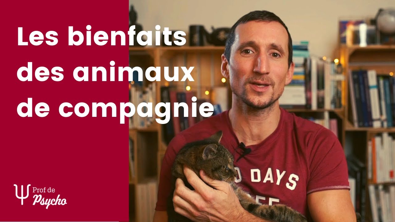 ANIMAUX | Les bienfaits des animaux de compagnie
